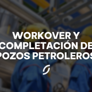 Workover y completación de pozos petroleros (1025)