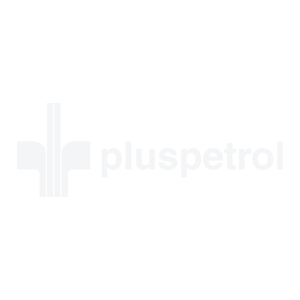 Cursos técnicos para la industria del petróleo, gas, minería y energía.